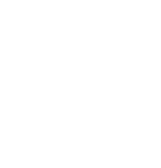 Homemade burgers from Patagonia